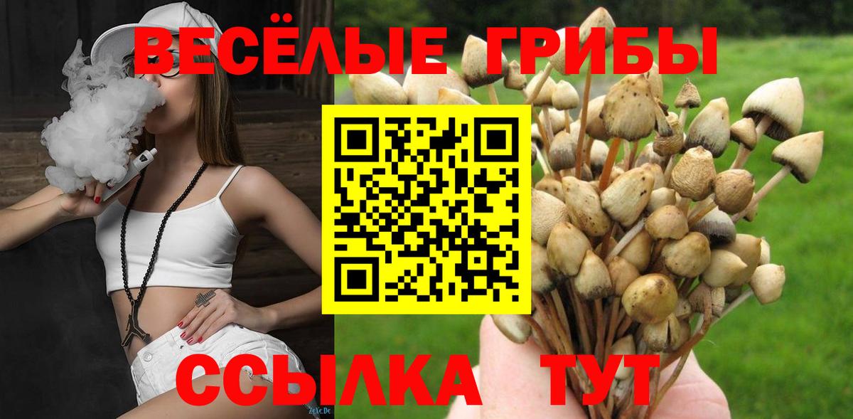 Псилоцибиновые грибы прущие грибы Свободный