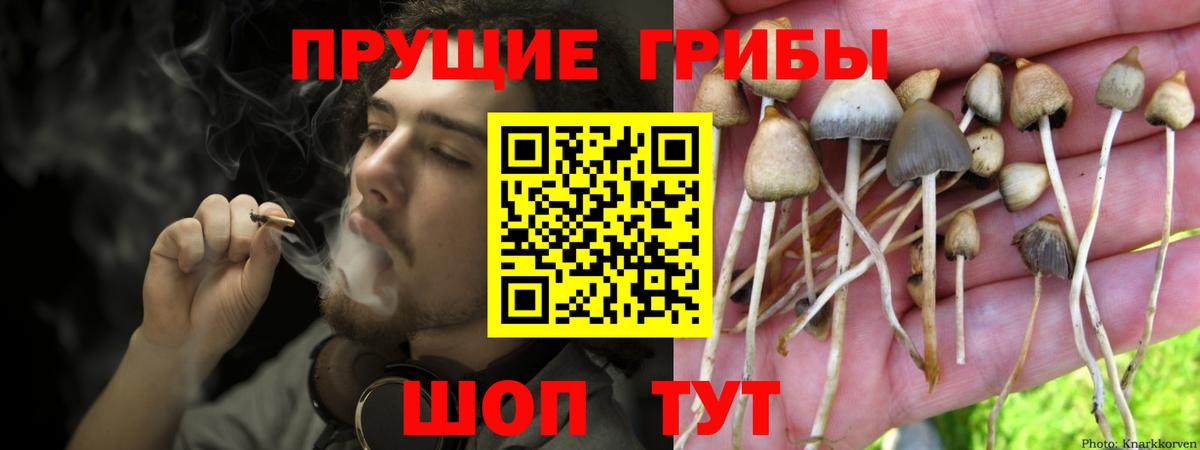 Галлюциногенные грибы GOLDEN TEACHER  Галлюциногенные грибы мухоморы  Вход с VPN  Свободный 